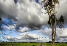 米兰体育:上海喜欢论资排辈:王唯漪表现糟仍主打,庄心如发挥佳仍被下放.