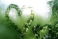 图片报:曼联对恩梅加很感兴趣,愿意支付万英镑的转会费.